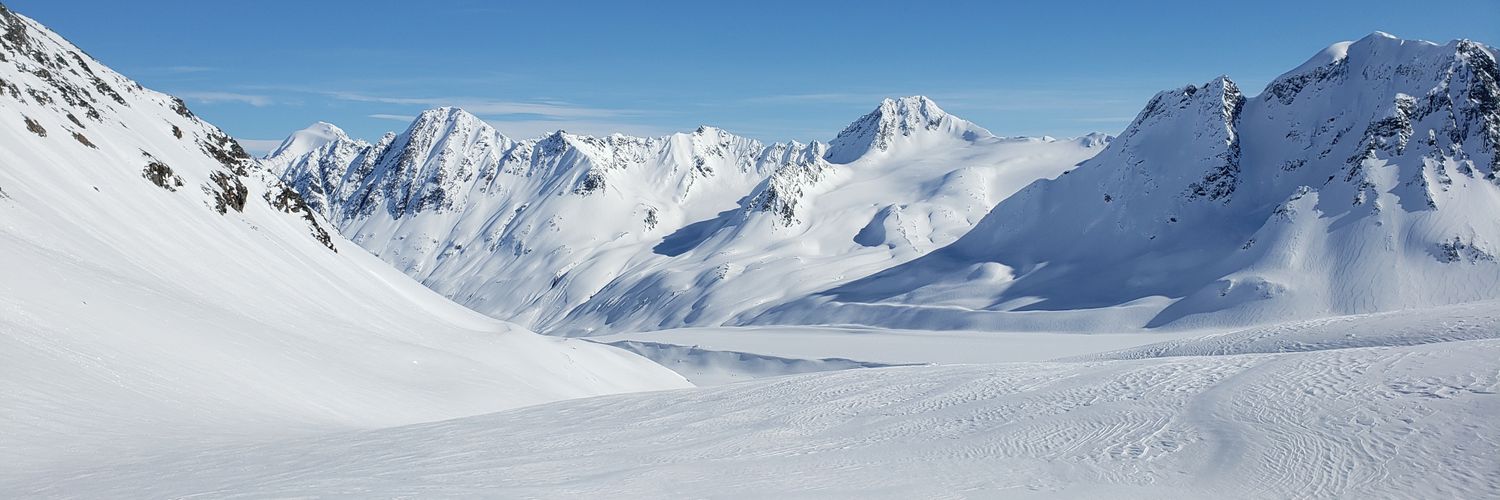sellbot's profile banner image