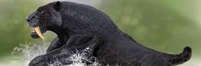 SmilodonPerucho's profile banner image