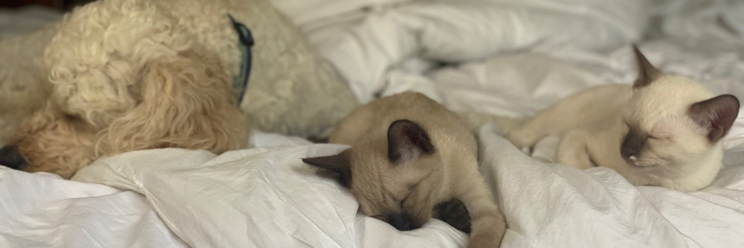 Eric Jelin MD banner