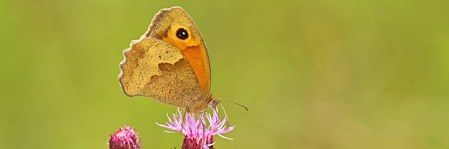 Barry Sarling banner