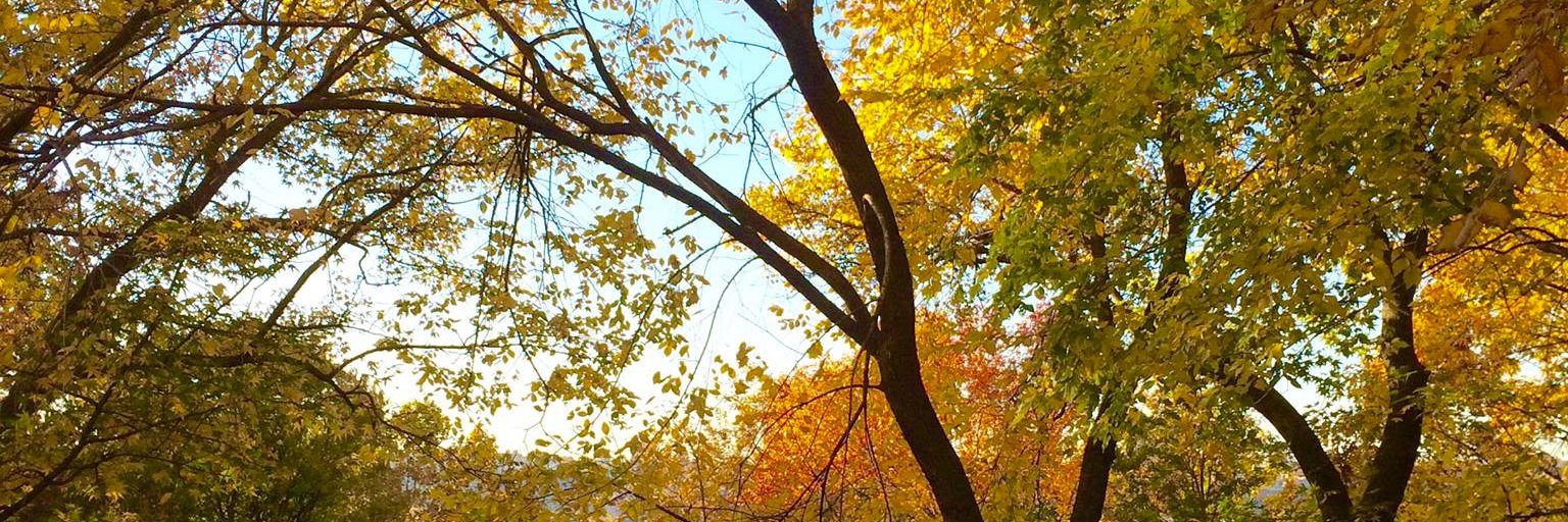 RiversideParkNY's profile banner image