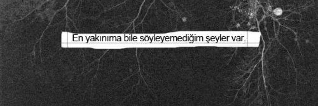 Feride_okumus2's profile banner image
