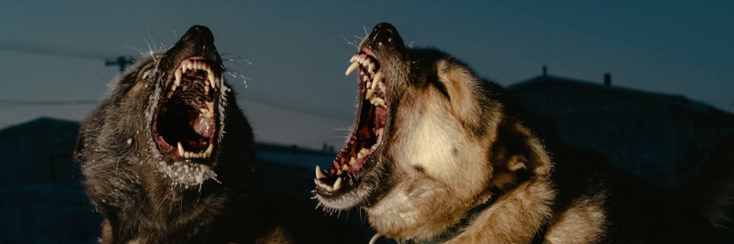 itsyuga_'s profile banner image