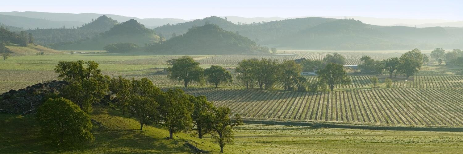 Guenoc Wines banner