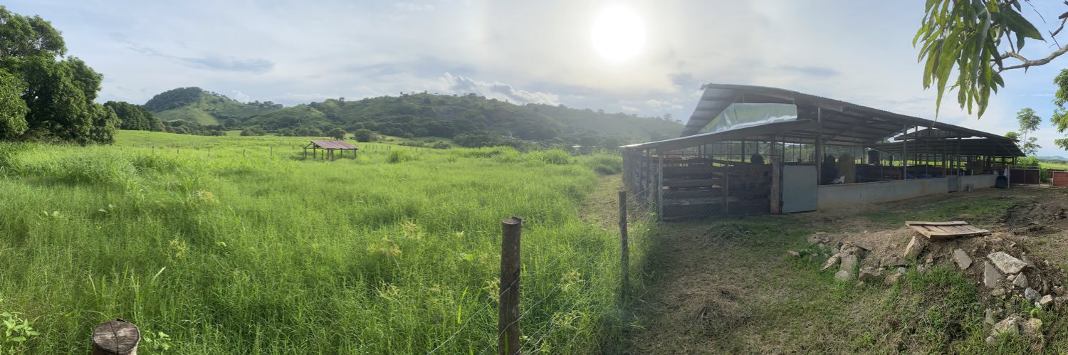 Dania María VG banner