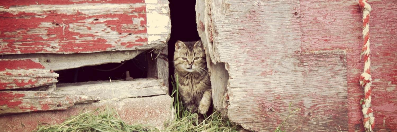 Garrett Woolsey banner