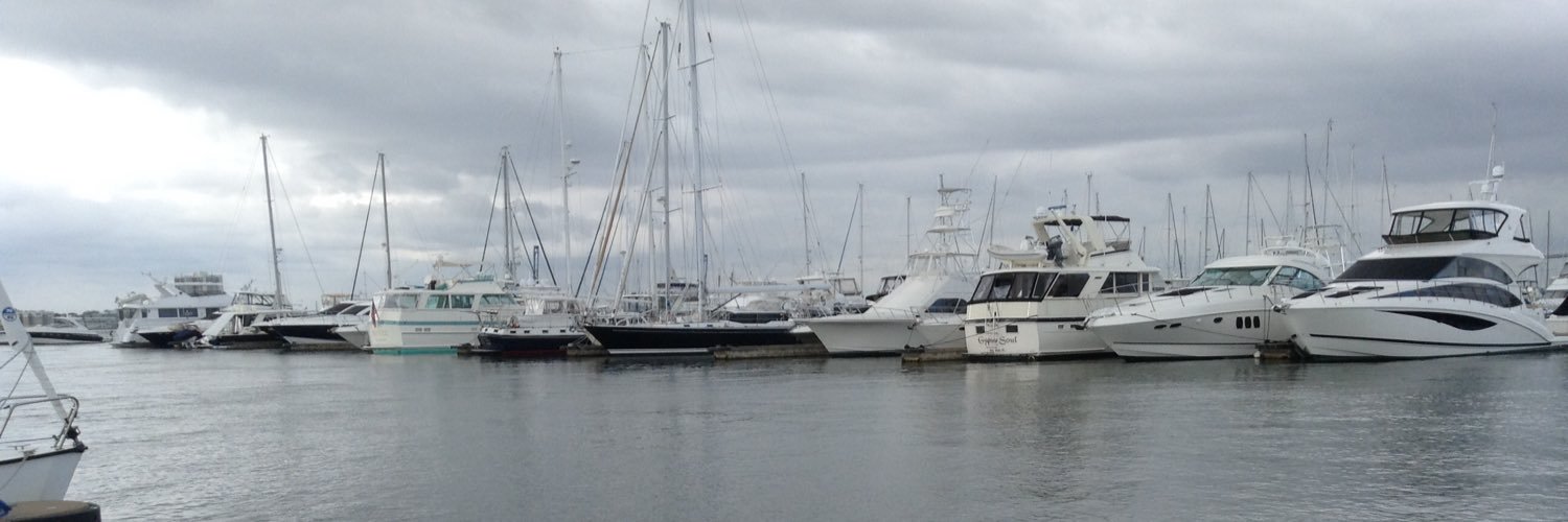 Charisse Rogers banner