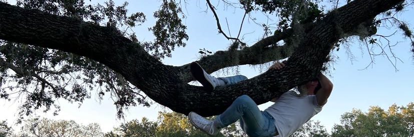 evprickett00's profile banner image