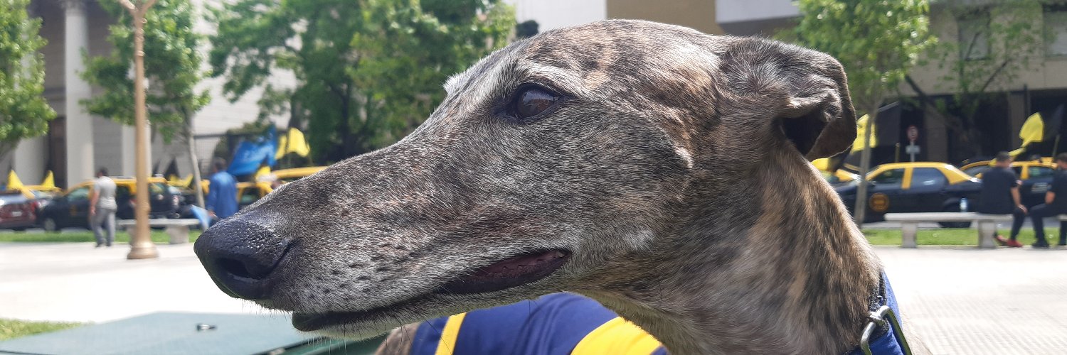 Andrea Patriau banner