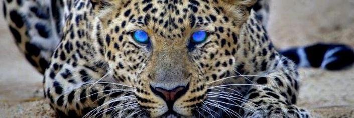 40pinelopi's profile banner image