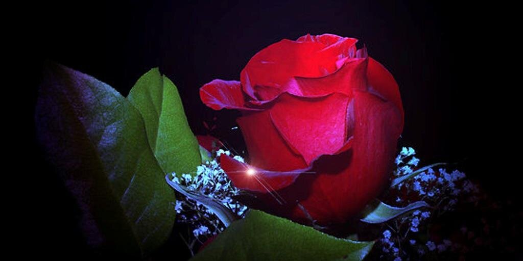 Thomas Archer Jail banner