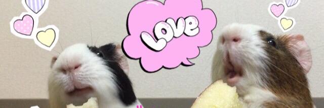 panda_usagi1's profile banner image