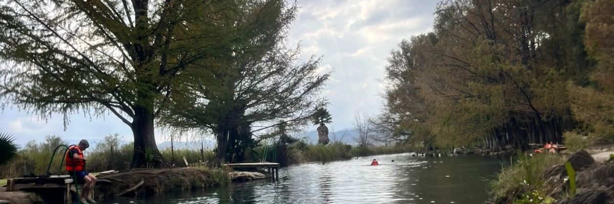 CarosSmiles's profile banner image