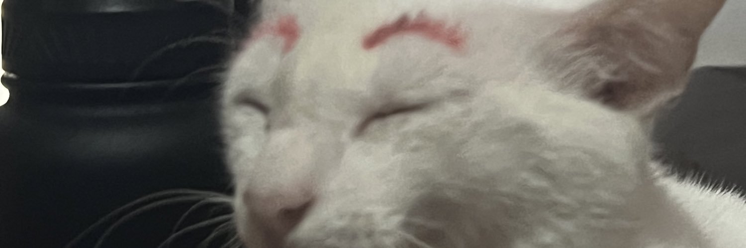 lukessski's profile banner image