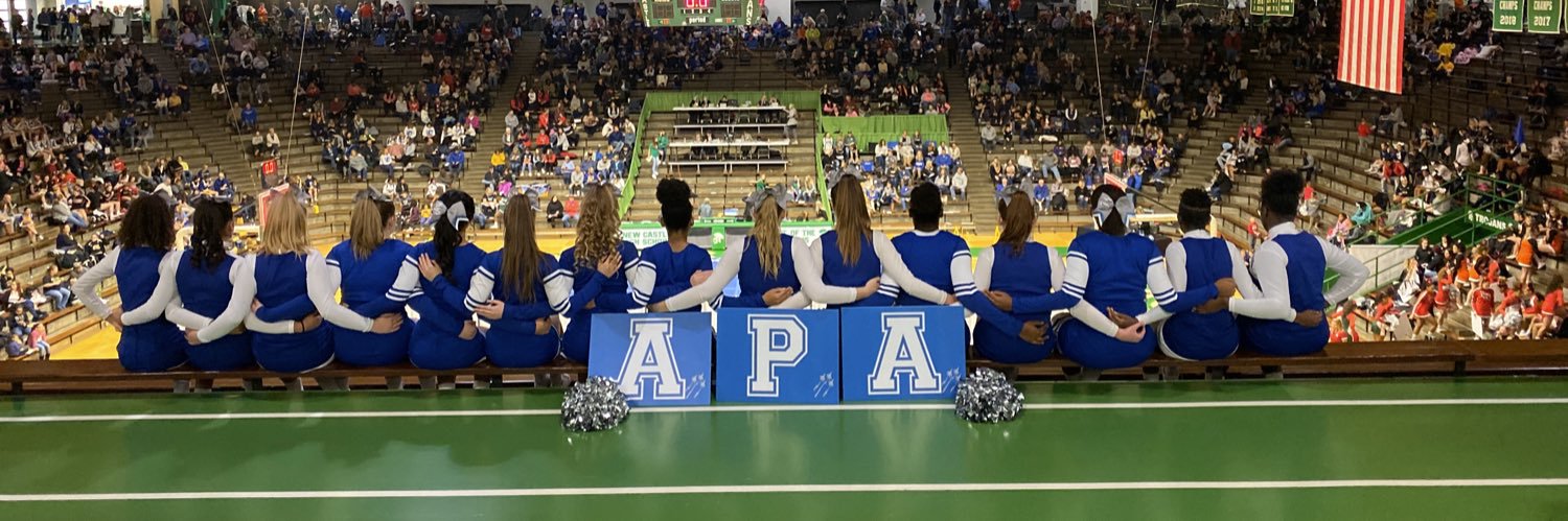 APACheer's profile banner image