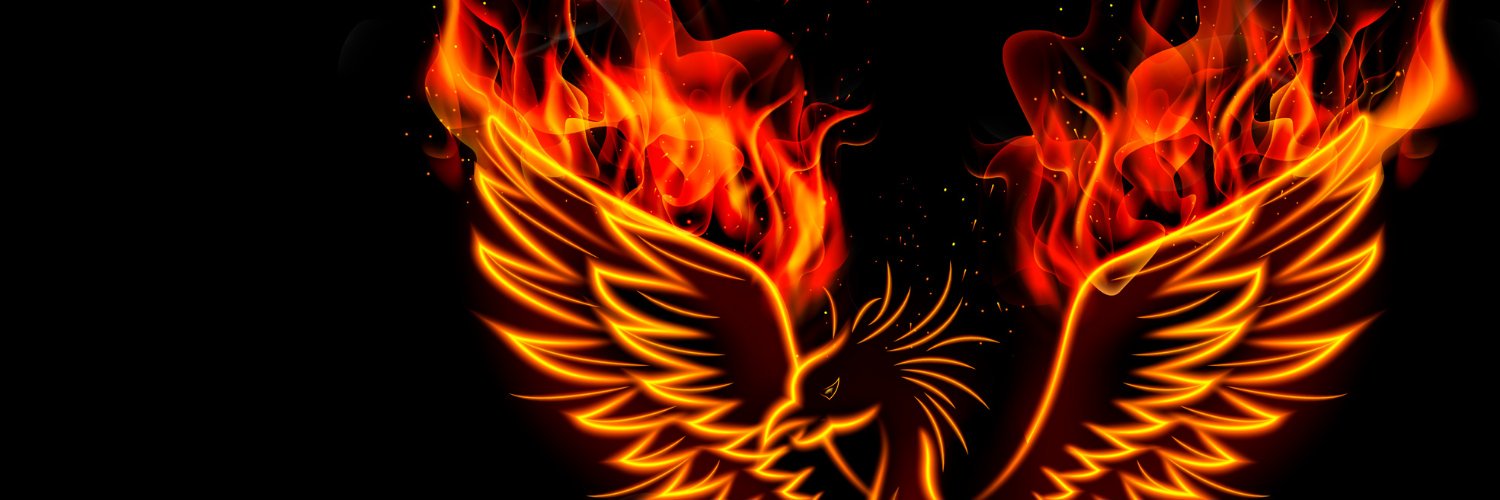 Phoenix Software banner