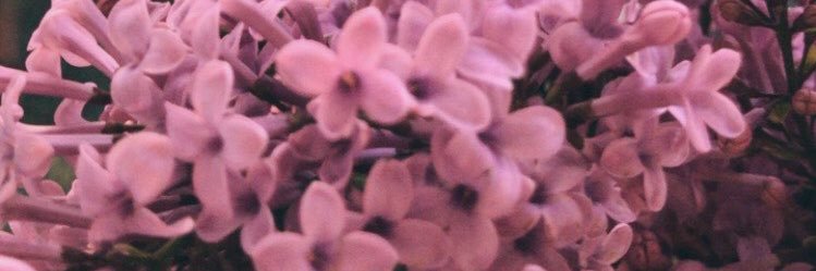 merves_g's profile banner image