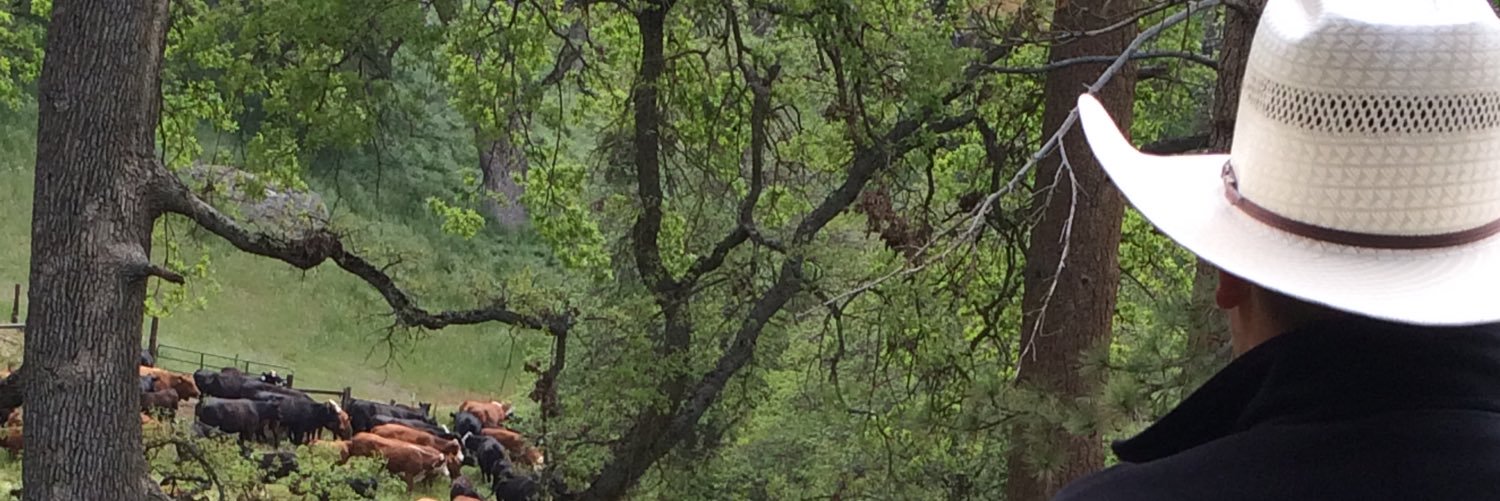 OffroadDan95's profile banner image