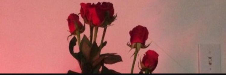 perhaps_great's profile banner image