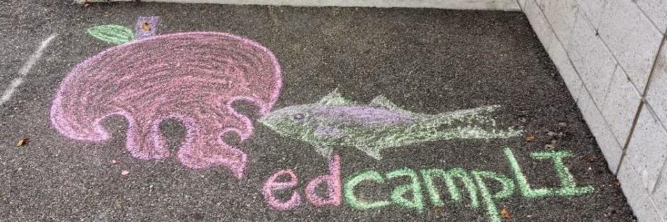 Ed CampLI banner