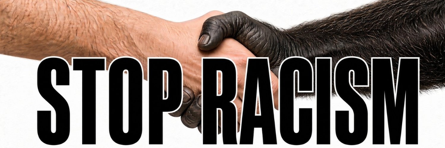 TheRitchieTV's profile banner image