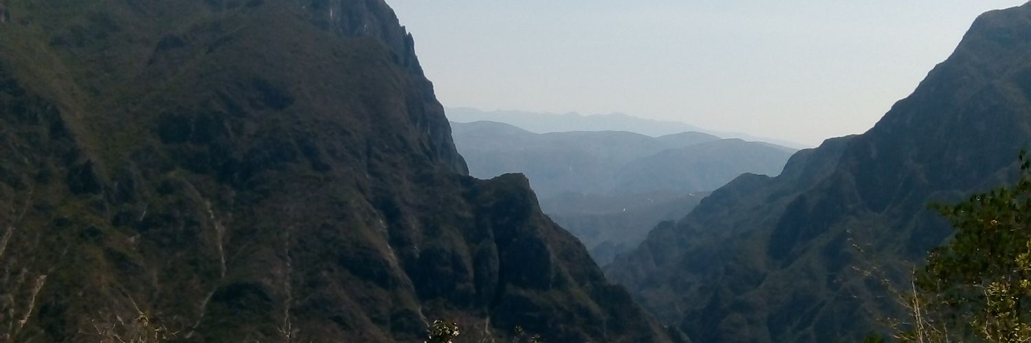 merolisima's profile banner image