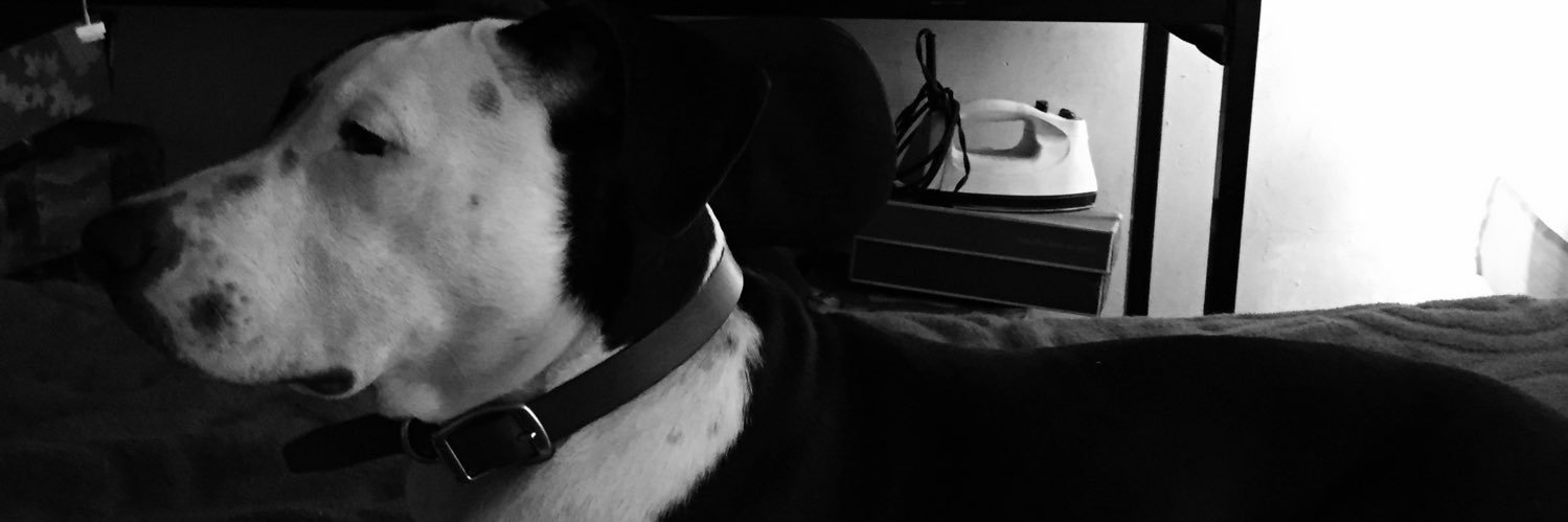 hildazs's profile banner image