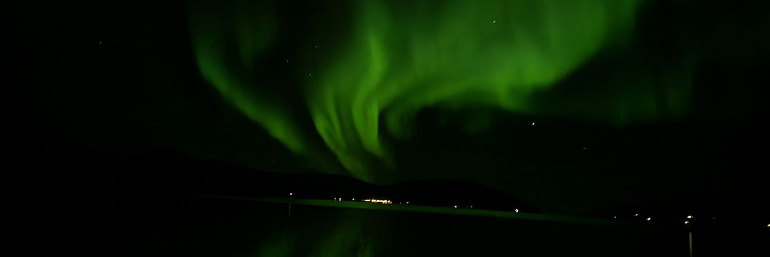 ChoKoala99's profile banner image
