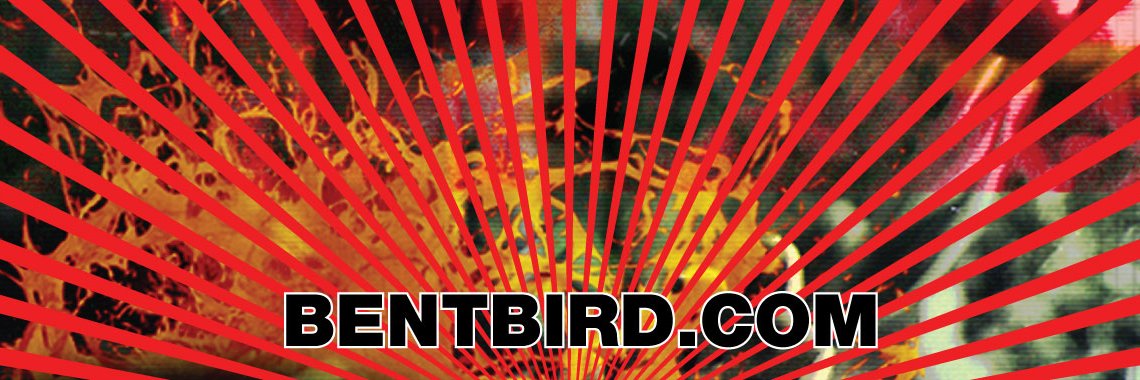 bentbird's profile banner image
