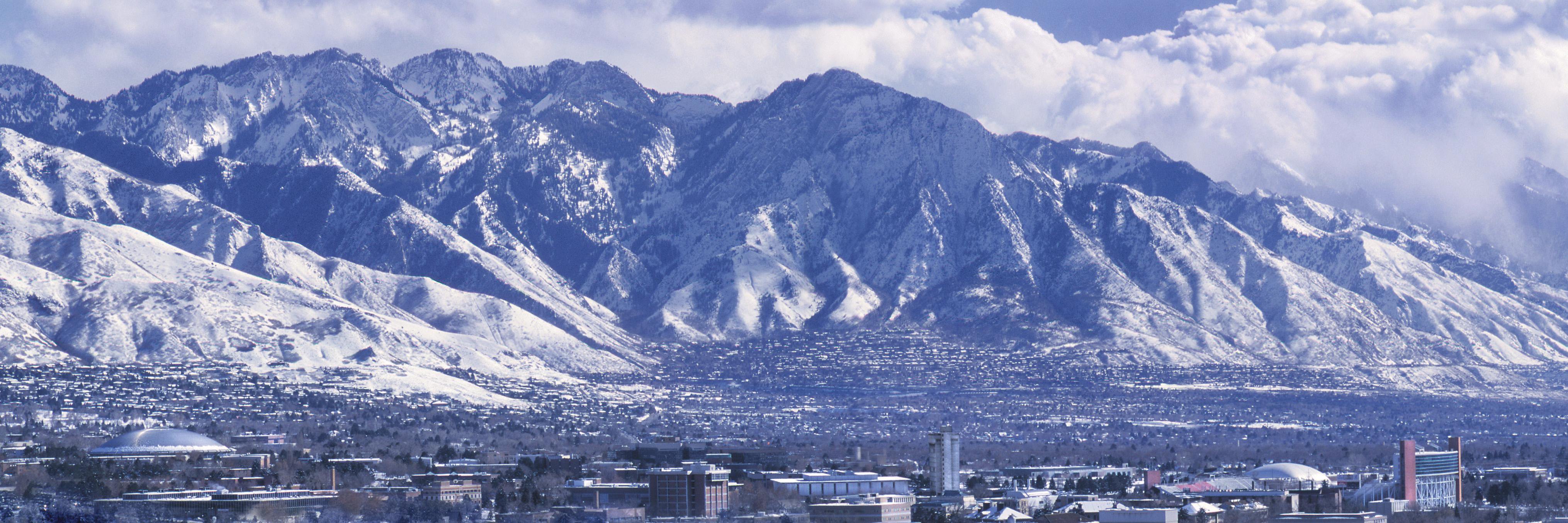 EM Drug Info Geek banner