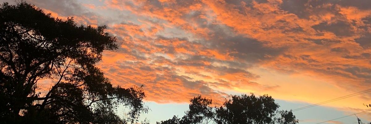 Laura__Cardona's profile banner image