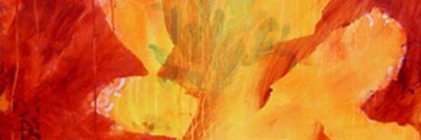 DevraWiz Profile Banner