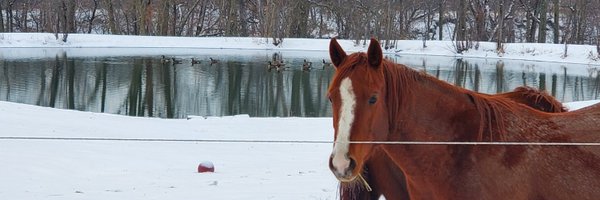 LanceEberhardt Profile Banner