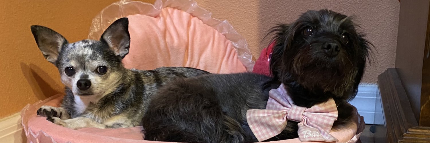 kellimberly's profile banner image