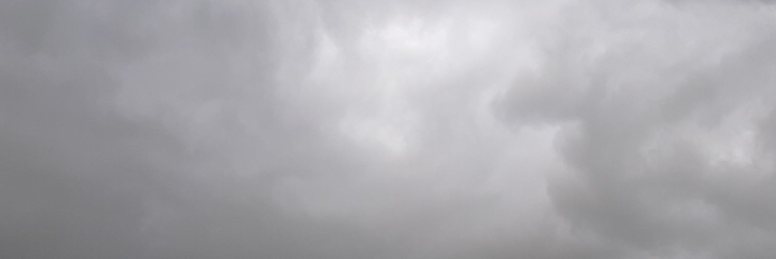 taylorhoechlin's profile banner image