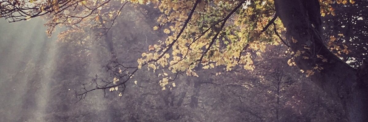 mpujol78's profile banner image