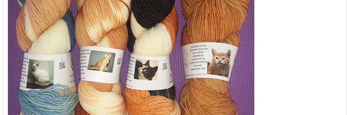 Trixie_Cats's profile banner image
