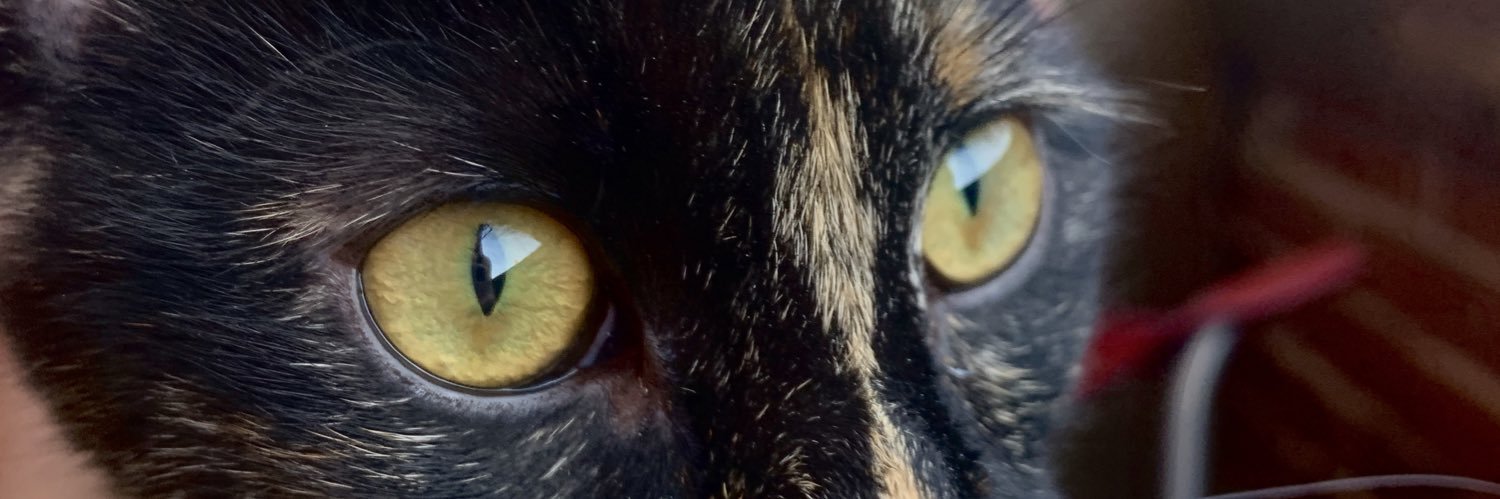 jnsmitty7's profile banner image