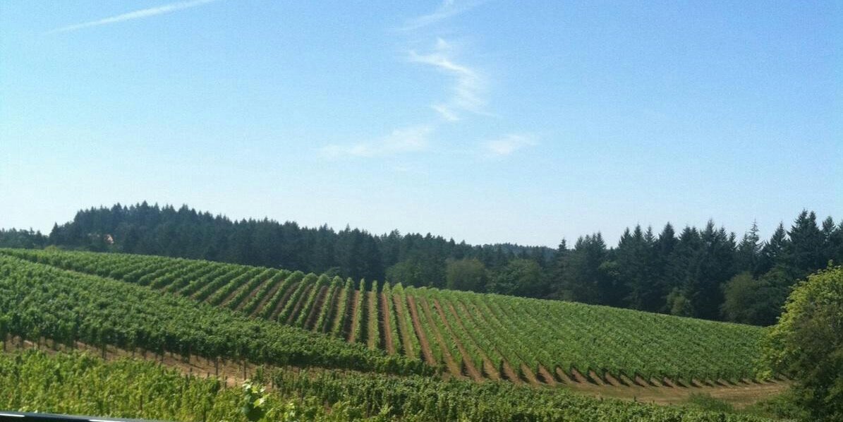 winewarfare's profile banner image