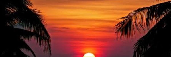 finfutureX Profile Banner