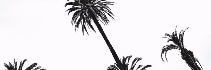 kozythereal's profile banner image