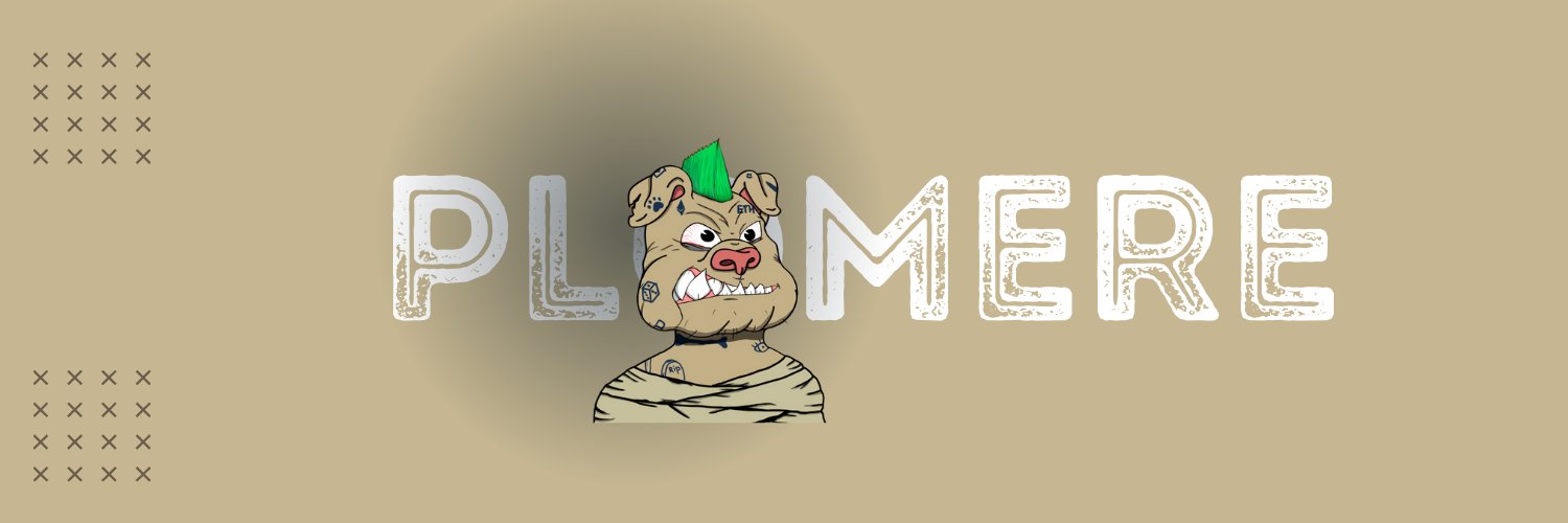 6PWN6's profile banner image