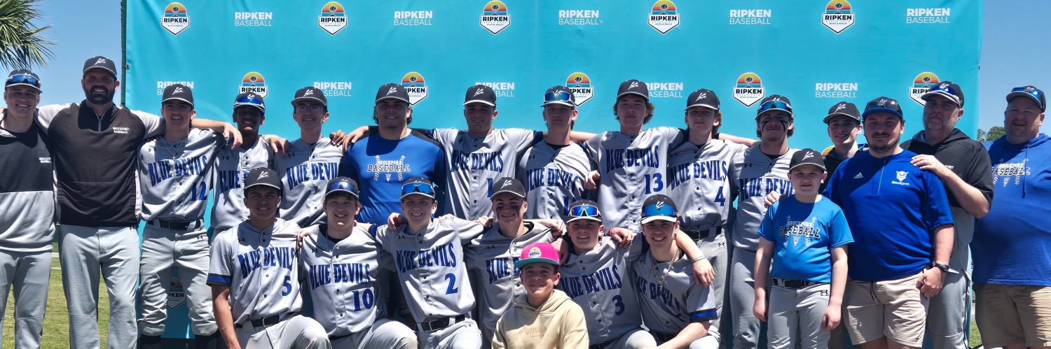 Brockport Baseball banner