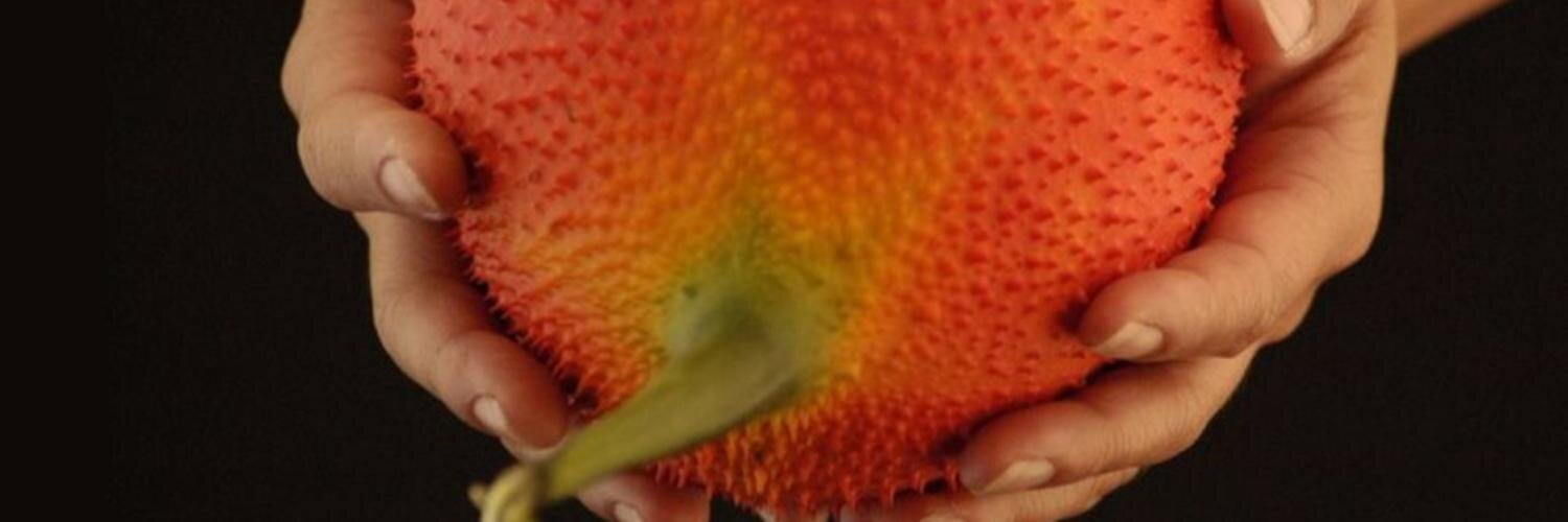 FishrockLabs's profile banner image