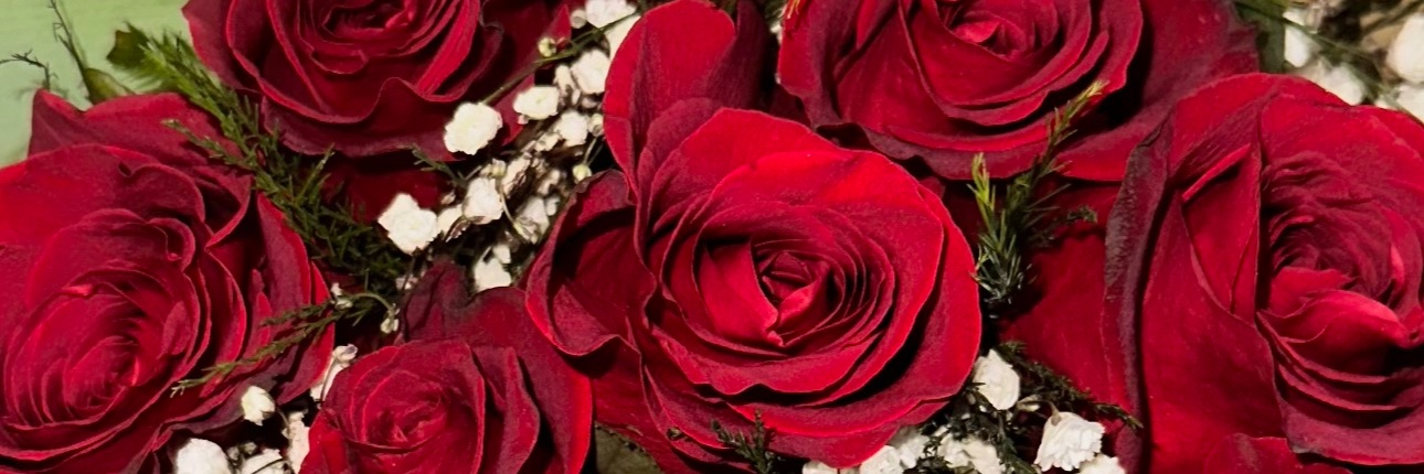 NGREENBABE's profile banner image