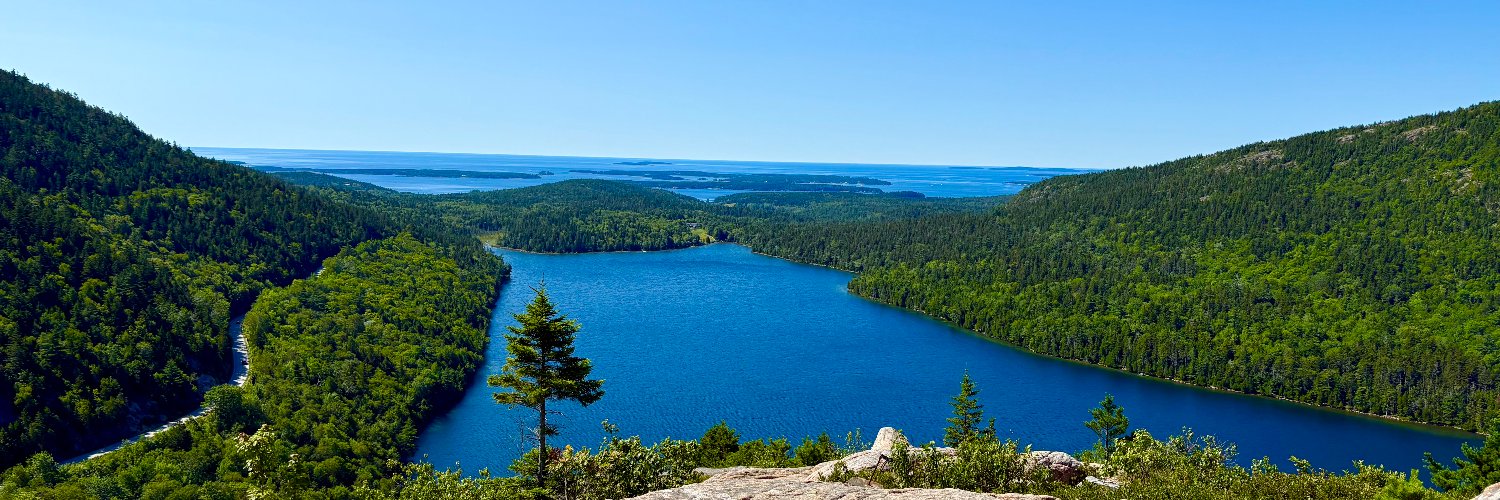 Brandon M Showalter banner