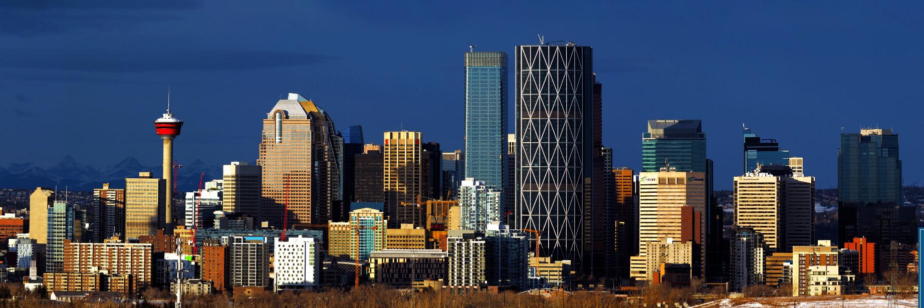 Calgary Observer banner