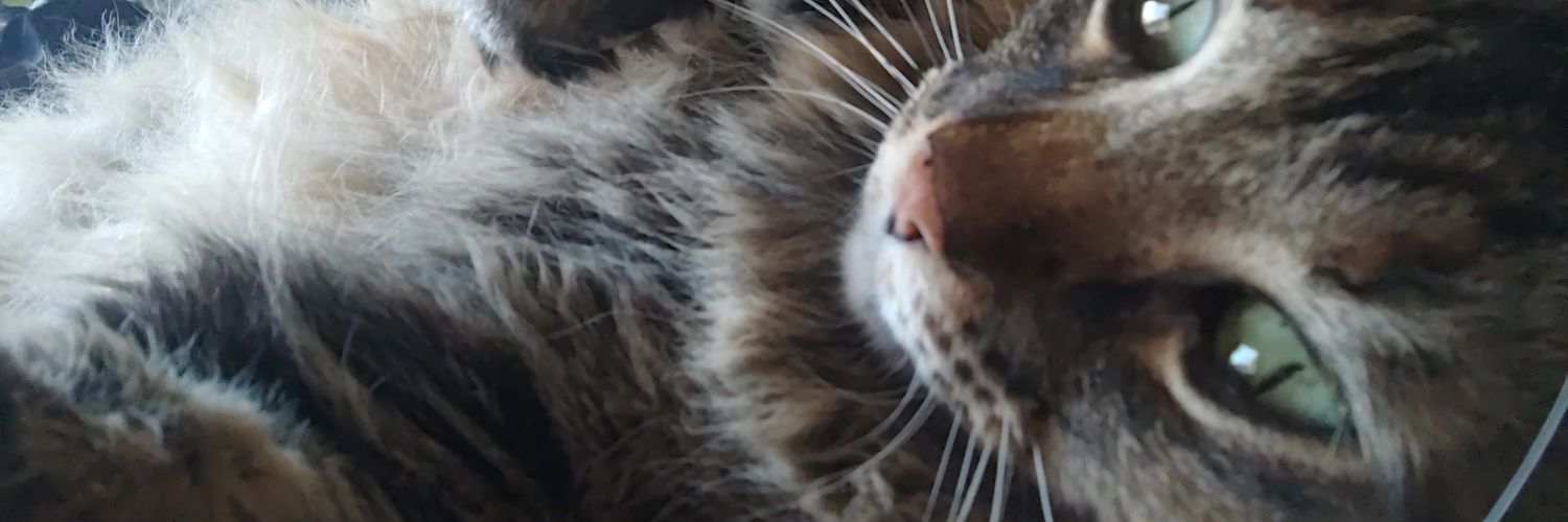 xJustClaudio's profile banner image
