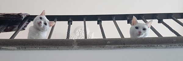 LuisServinG Profile Banner