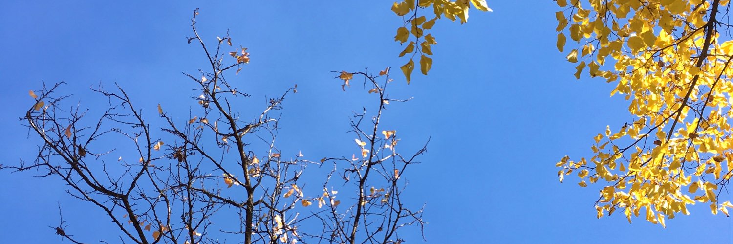 jeyjeymp's profile banner image